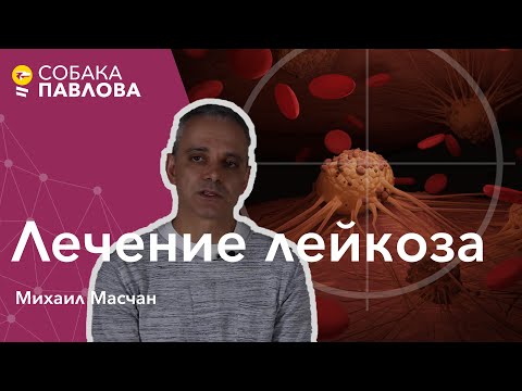 Видео: Лечение лейкоза - Михаил Масчан // химиотерапия, таргетная терапия, пересадка костного мозга