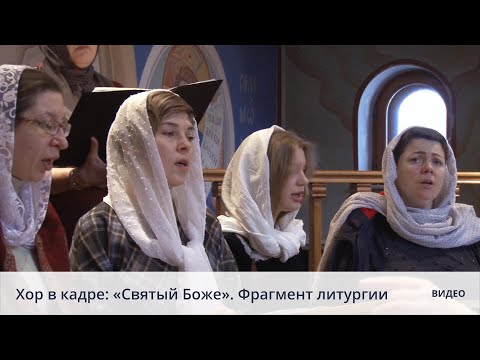 Видео: Хор в кадре: «Святый Боже». Фрагмент литургии