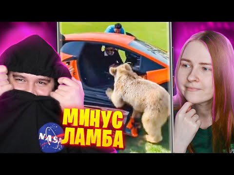 Видео: МЕДВЕДЬ РАЗБИЛ ЛАМБУ! Реакция на смешные видосы
