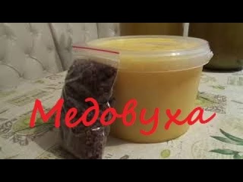 Видео: Медовуха (простой способ приготовления)