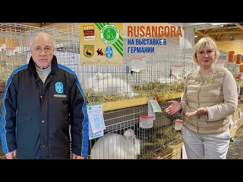 Видео: Rusangora на Федеральной выставке кроликов в Германии.
