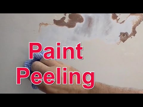 Видео: Отслоение краски на новой штукатурке приводит к её растрескиванию. Лучшие советы по покраске
