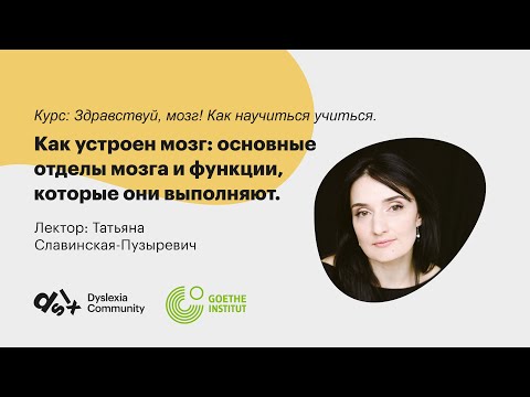 Видео: Как устроен мозг: основные отделы мозга и функции, которые они выполняют.