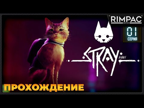 Видео: Stray прохождение _ часть 1