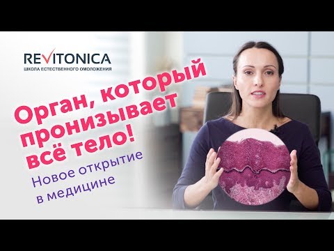 Видео: Интерстиций — орган, о котором мы не знали. Плохие новости для инъекционной косметологии.