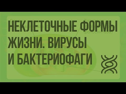 Видео: Неклеточные формы жизни. Вирусы и бактериофаги. Видеоурок по биологии 10 класс