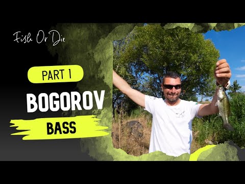 Видео: Бас на Богоров - Bass at Bogorov part 1