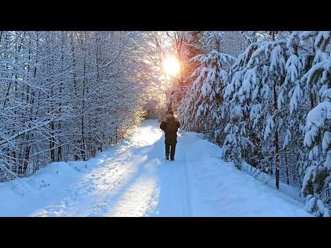 Видео: Мороз и солнце...