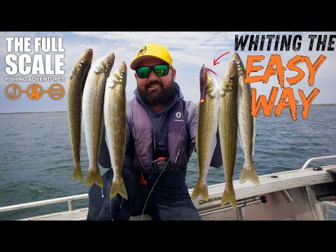 Видео: Ловля мерланга с системой TT Y-Ting | Полная шкала