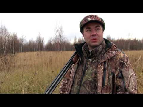 Видео: Охотничьи истории. Сезон 2. Охота на фазана со спаниелями