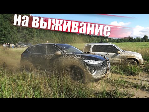 Видео: НЕВЕРОЯТНЫЙ РЕЗУЛЬТАТ! Стероидные паркетники в ПАШНЕ! Toyota, Duster, Haval, Suzuki, Hover, L200