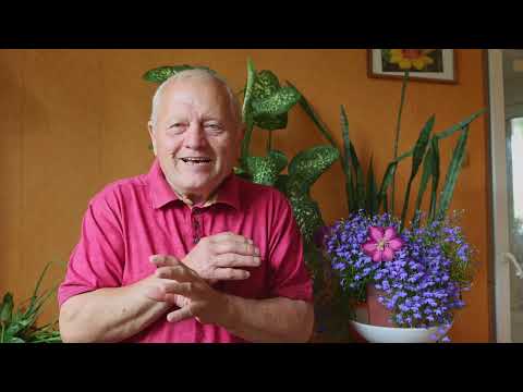 Видео: Как с помощью правильных грибов поднять иммунитет растений, Часть 2.