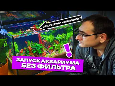 Видео: Запуск Аквариума травника без фильтра для начинающих! Аквариум мечты по цене мечты! 4К