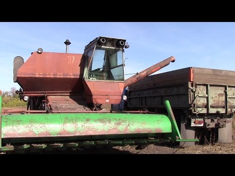 Видео: Уборка подсолнечника, и выгрузка семечек из комбайна в камаз