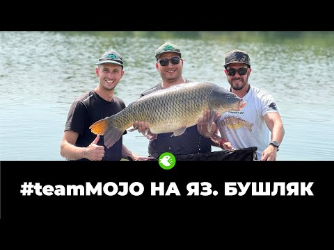 Видео: #teamMOJO НА ЯЗ. БУШЛЯК - Шаранджийско състезание с едри риби и много жега