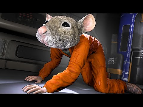 Видео: ТАКТИКА ДШКИ КРЫСЫ В SCP : SECRET LABORATORY!