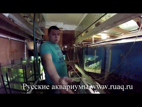 Видео: Аквариумная стойка на 4500 л