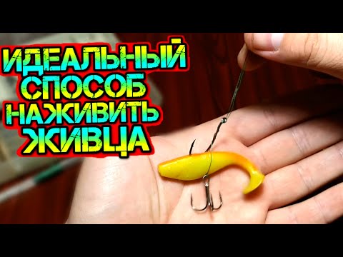 Видео: Самый эффективный - уникальный способ надеть живца.