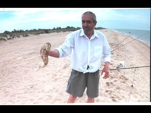 Видео: Серфовая рыбалка на пеленгаса кефаль или чулару