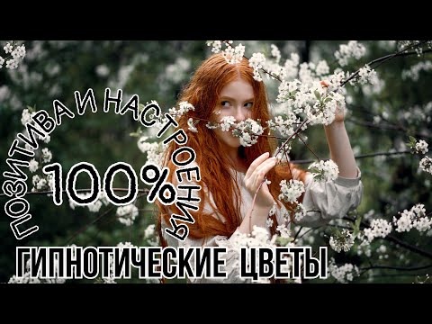 Видео: Гарантированные 100% позитива и настроения./ ГИПНОТИЧЕСКИЕ ЦВЕТЫ /идеальное спокойствие #start 