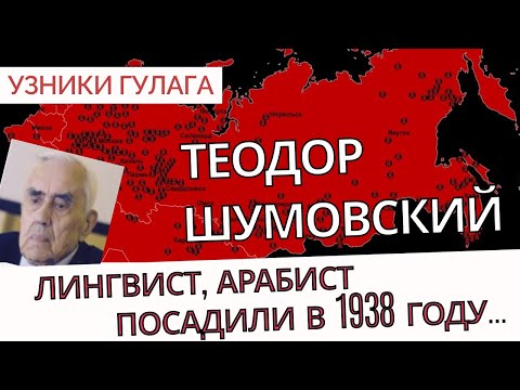 Видео: Посадили за общение с Гумилевым - Теодор Шумовский - Узники ГУЛАГа