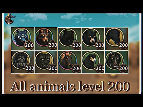 Видео: 💥WildCraft || Прокачка третьего аккаунта, всех зверей до 200 уровня!
