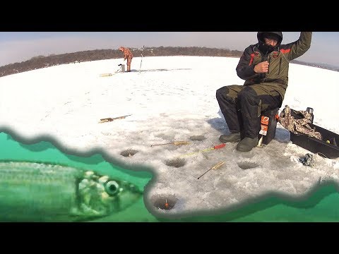 Видео: Сдал точки удачной рыбалки. Места где можно поймать креветку и раков.