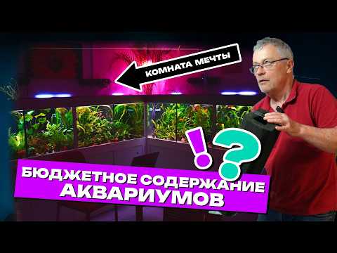 Видео: Экономим на электричестве и не теряем в красоте: бюджетное содержание аквариума! 4К