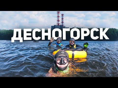 Видео: Выходные на базе Береста: Фридайвинг и релаксация на природе