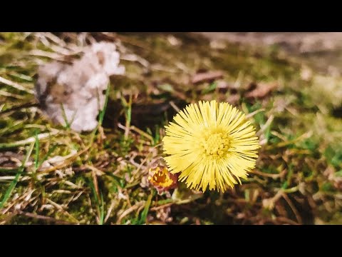 Видео: Сила простоты