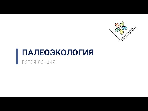 Видео: Палеоэкология