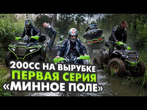 Видео: квадроциклы БУЛЛИ и ХАММЕР 200сс на ВЫРУБКЕ