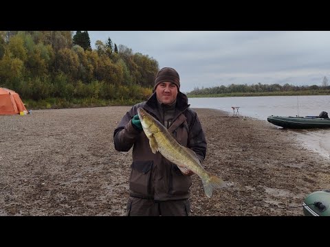 Видео: РЫБАЛКА НА СУДАКА ОСЕНЬЮ. ЧАСТЬ 1.