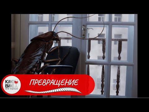 Видео: ТОЧНАЯ ЭКРАНИЗАЦИЯ РАССКАЗА ФРАНЦА КАФКИ! Превращение. Фильмы для поднятия настроения!