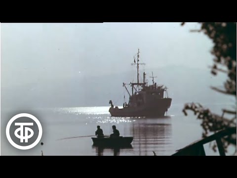 Видео: Океанский берег. Приморский край. Документальный фильм (1978)