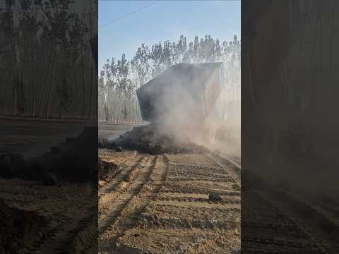 Видео: Маҳаллий ўғит солиш #bobodexqonlar