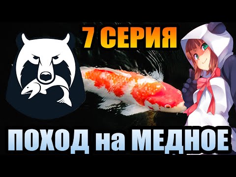 Видео: 7 серия - ГАЙД по ПРОКАЧКЕ АККАУНТА в игре Русская Рыбалка 4 / РР4