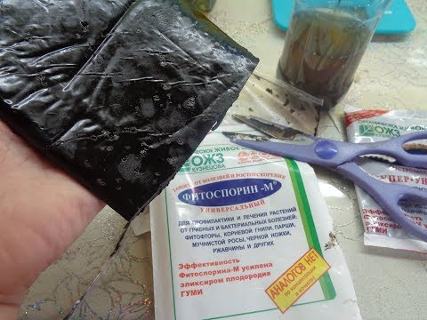 Видео: ФИТОСПОРИН. КАК ЕГО ПРАВИЛЬНО РАЗВЕСТИ? Ольга Чернова.