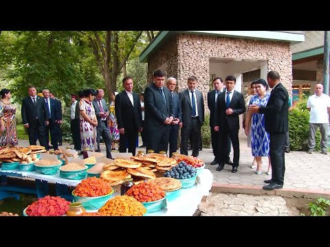 Видео: Исфара дар Душанбе