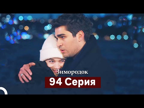 Видео: Зимородок 94 Cерия (Русский дубляж)