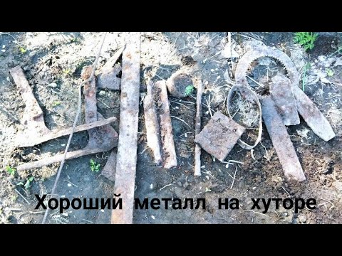 Видео: Металлокоп 2024. Май. Ехал на торфяник, а приехал на хутор