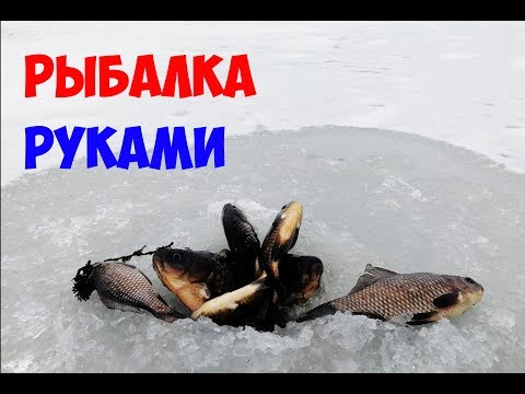 Видео: Прорубил лунки и ТУТ НАЧИНАЛОСЬ РЫБА ЛЕЗЕТ НА ЛЁД рыбалка зимой