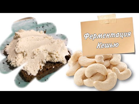 Видео: Ферментация кешью • Ферментирование кешью приготовление рецепт не творог • Йогурт из кешью