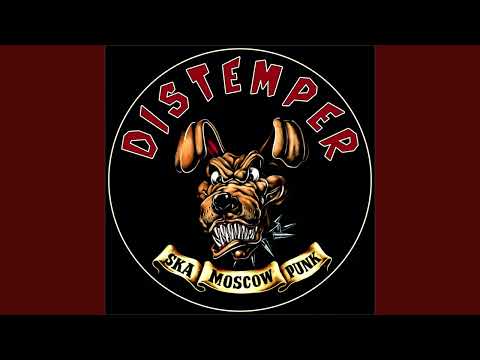 Видео: Distemper - Утро