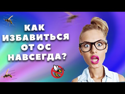 Видео: Как избавиться от ос на даче навсегда