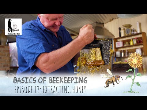 Видео: Как добыть мёд без медогонки | The Bush Bee Man