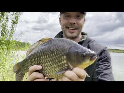 Видео: Побил рекорд по карасю! Рыбалка на FLAT FEEDER | Тактика ловли карася  на озере летом