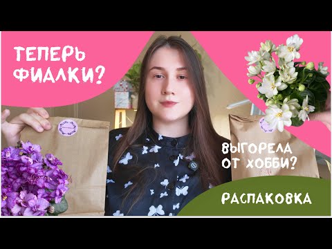 Видео: Влюбилась в фиалки. Распаковка новых сортов. Выгорела от растений.