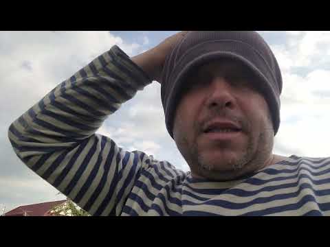 Видео: Ситуация на пасике . Ждем возможной акации.