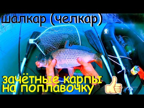 Видео: ЛОВИМ КАРПА С ЛОДКИ - ШАЛКАР(ЧЕЛКАР)